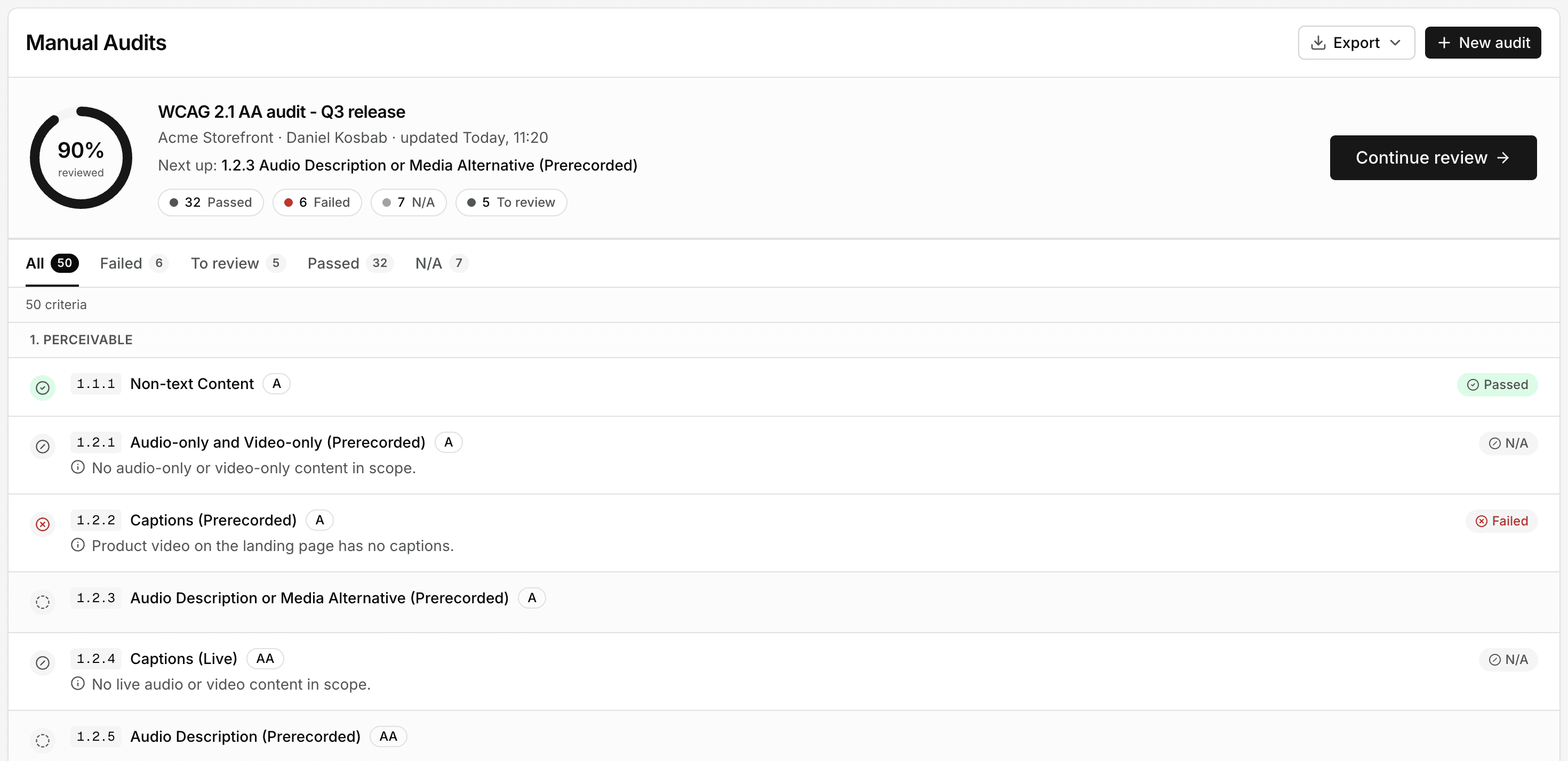 Manual audit view: a structured human review of WCAG criteria alongside the automated findings.